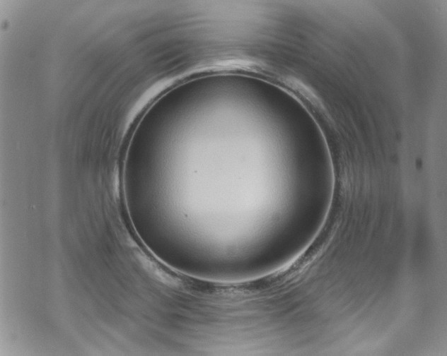 X0000070881420200606191304