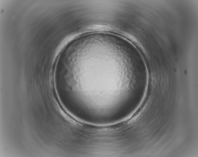 X0000070881421200606191304