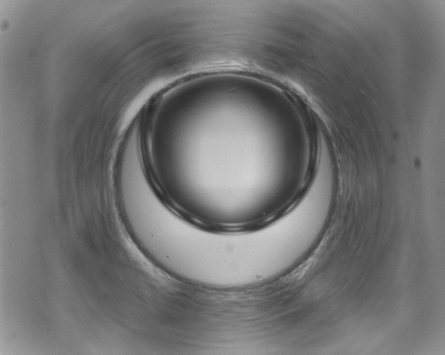 X0000070881422200606191304