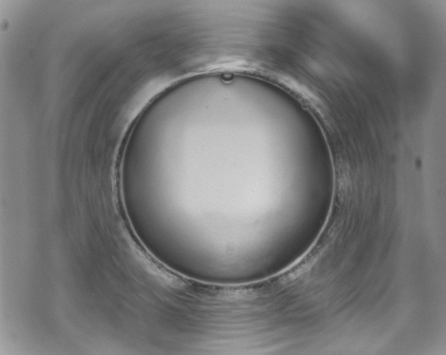 X0000070881423200606191304