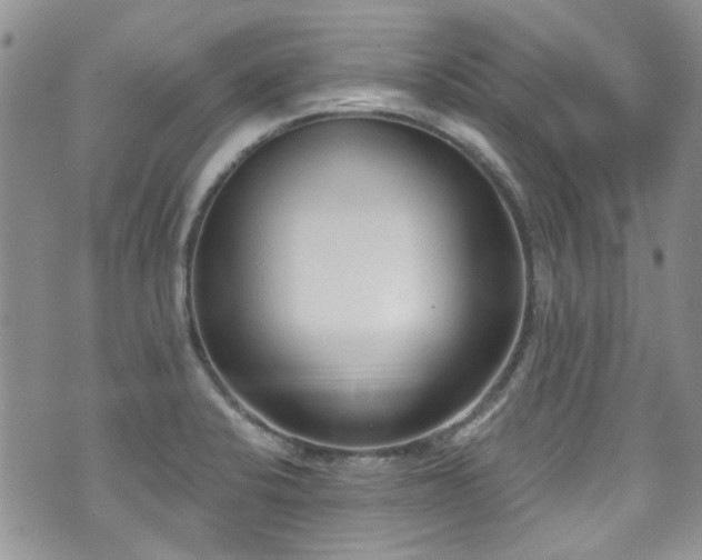 X0000070881424200606191304