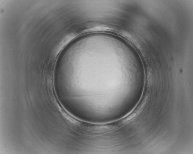 X0000070881425200606191304