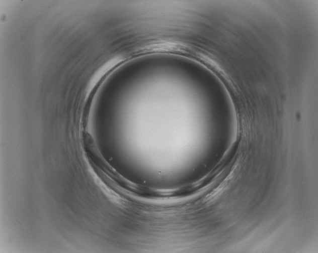 X0000070881426200606191304