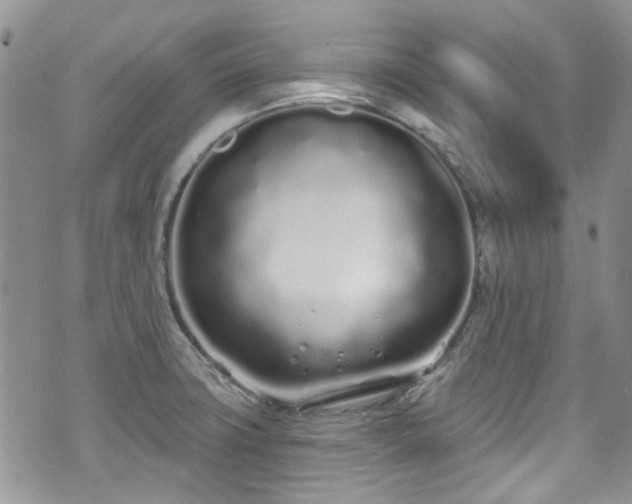 X0000070881427200606191304