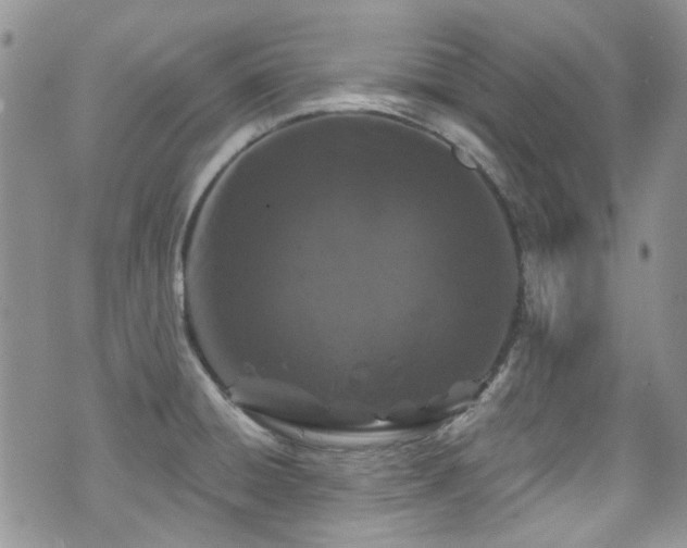 X0000070881428200606191304