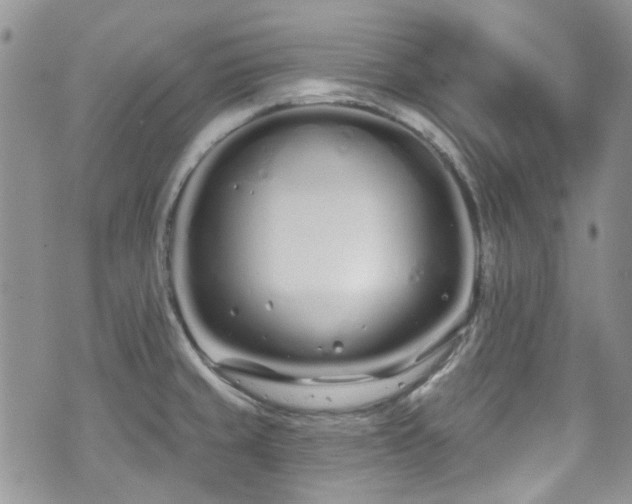 X0000070881429200606191304