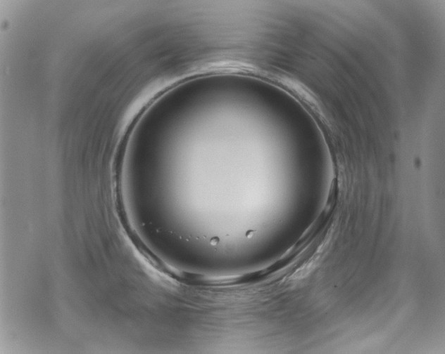 X0000070881430200606191304