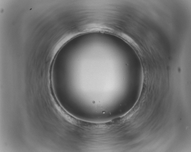 X0000070881431200606191304