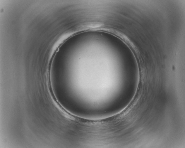 X0000070881432200606191304