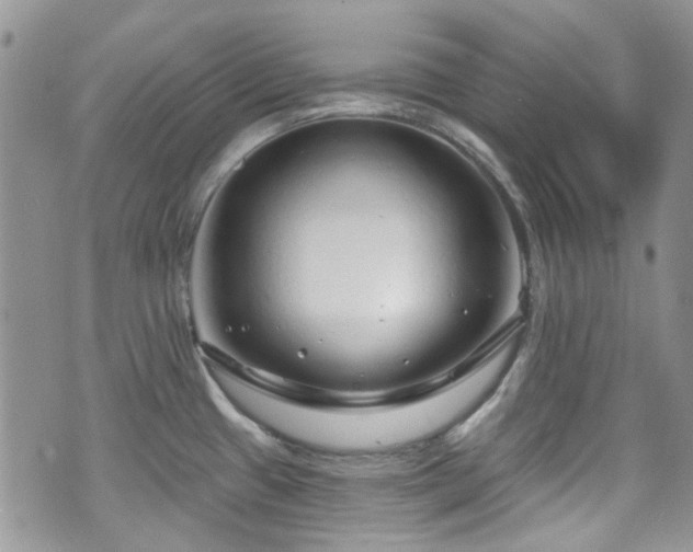 X0000070881433200606191304