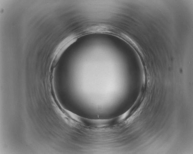 X0000070881434200606191304