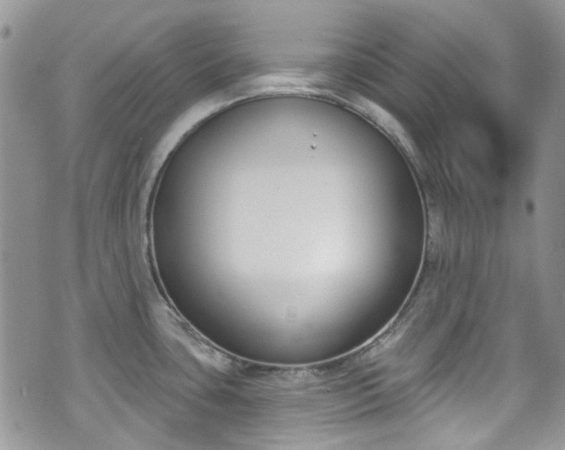 X0000070881435200606191304