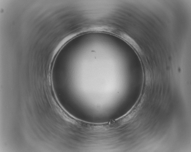 X0000070881436200606191304