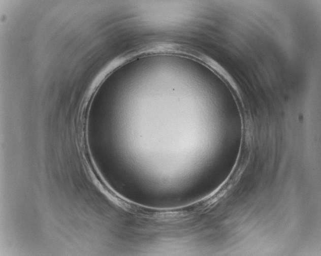 X0000070881437200606191304