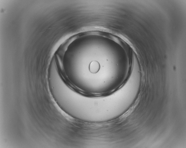 X0000070881438200606191304