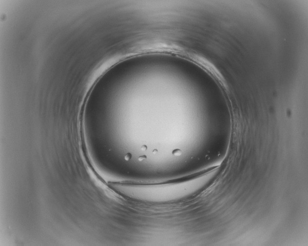 X0000070881439200606191304