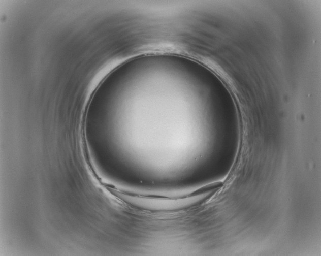 X0000070881440200606191304