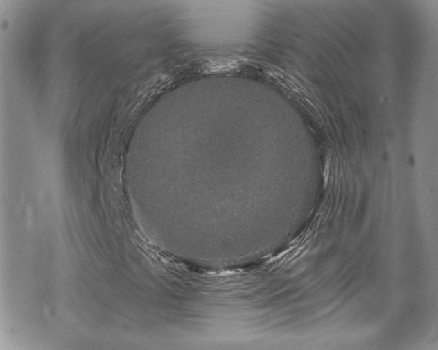 X0000070881441200606191303