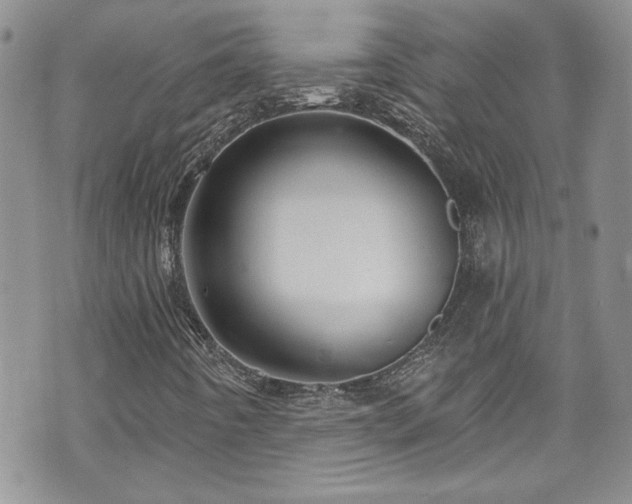 X0000070881442200606191303