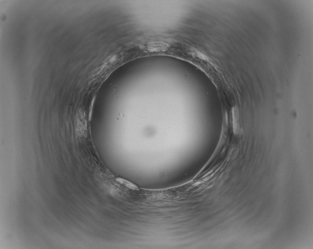 X0000070881443200606191303