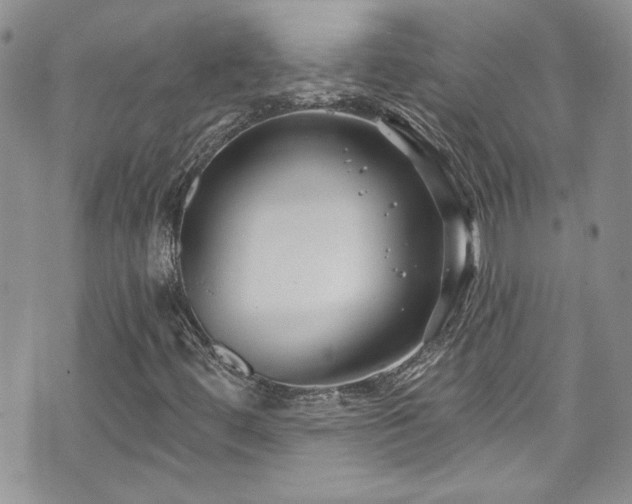 X0000070881444200606191303