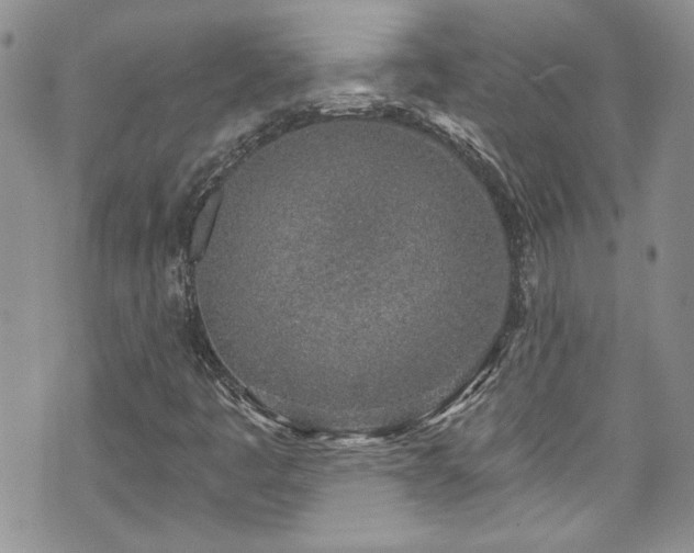 X0000070881445200606191303