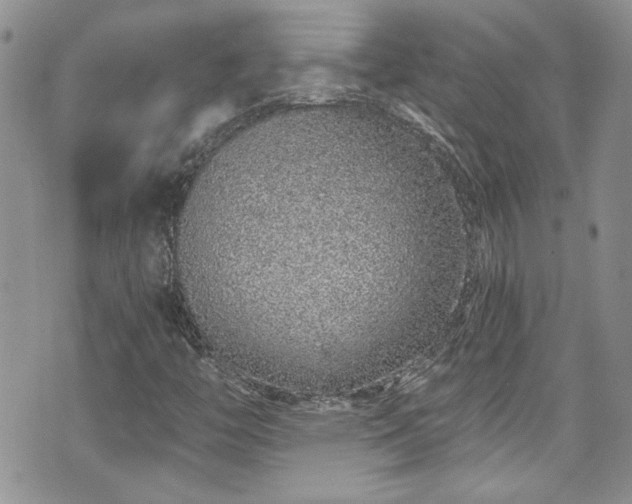 X0000070881446200606191303