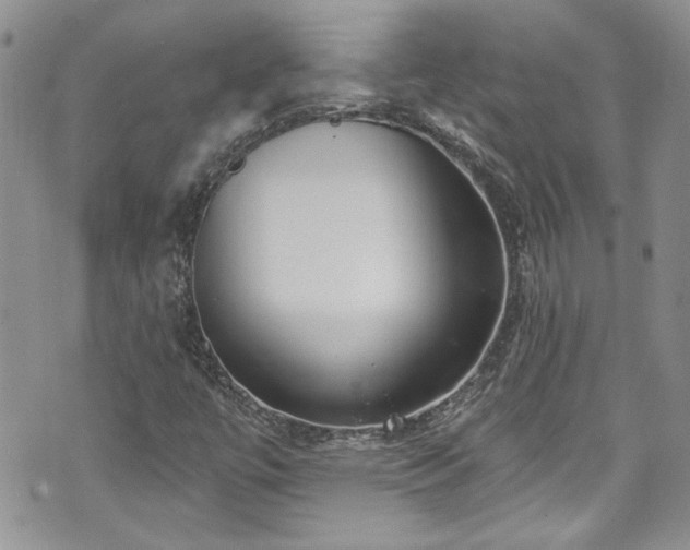 X0000070881447200606191303