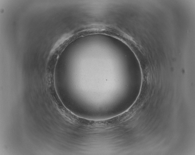 X0000070881448200606191303