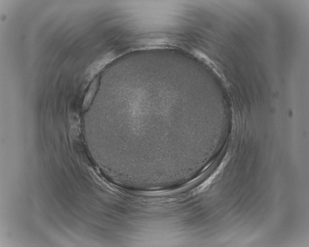 X0000070881449200606191303