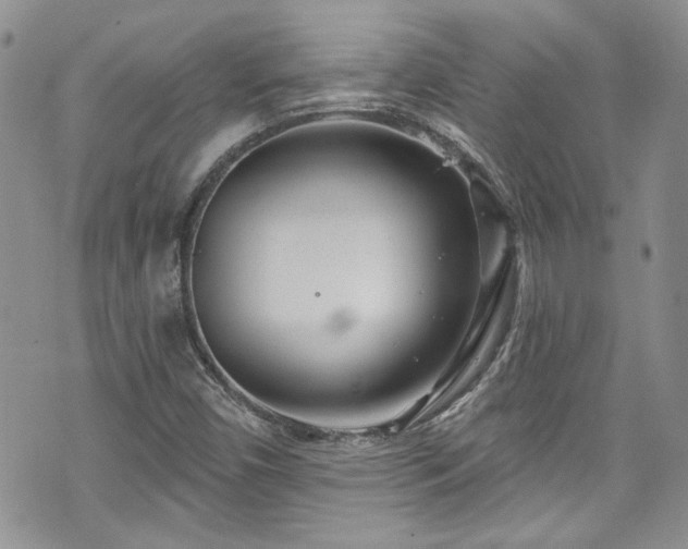 X0000070881450200606191303