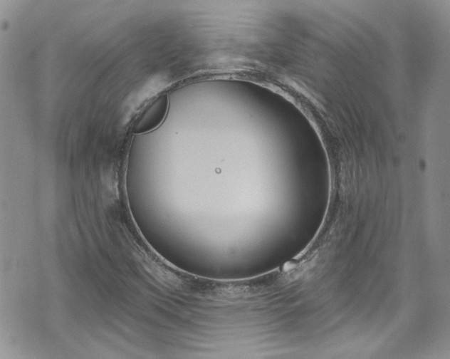 X0000070881451200606191303