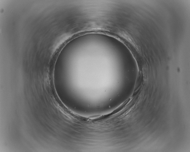 X0000070881452200606191303