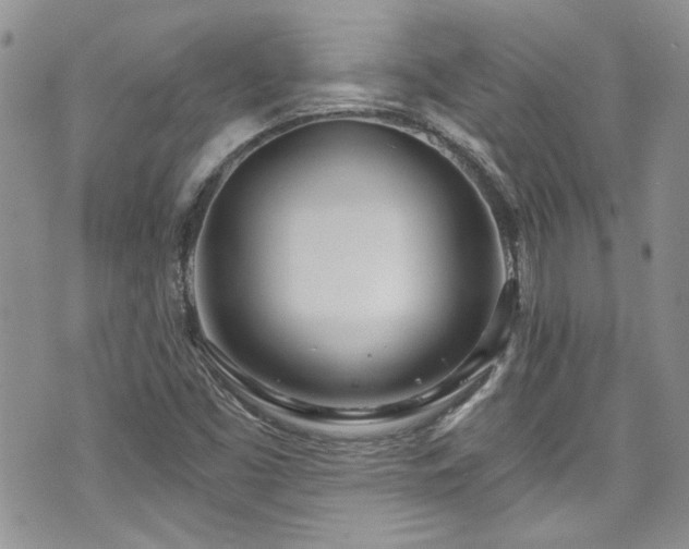 X0000070881453200606191303