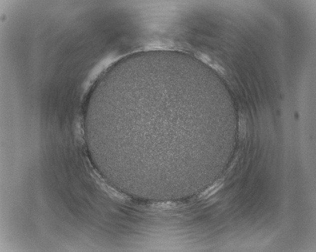 X0000070881454200606191303