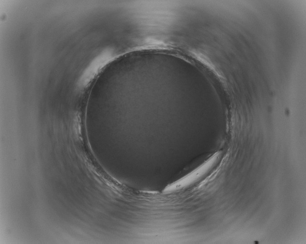 X0000070881455200606191303