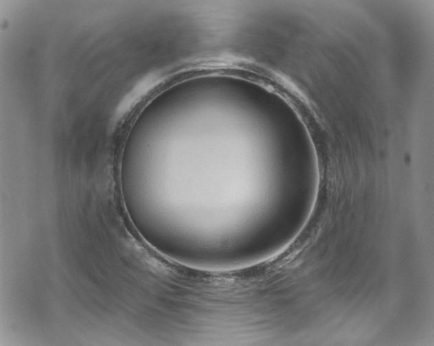 X0000070881456200606191303