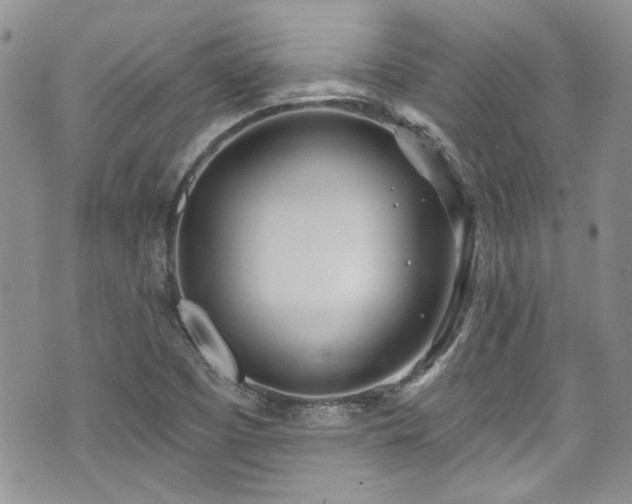 X0000070881457200606191303