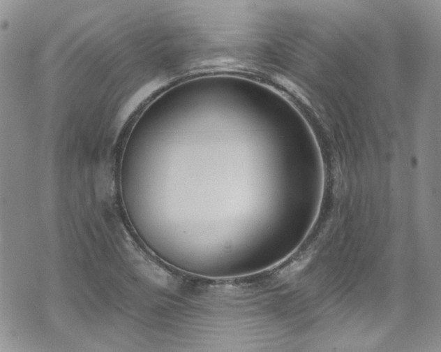 X0000070881458200606191303