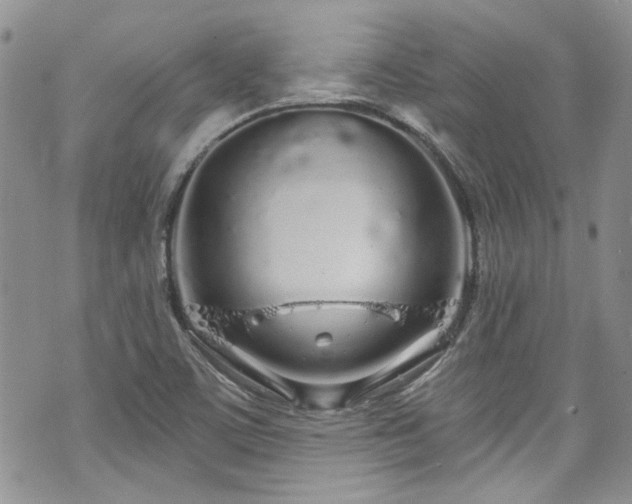 X0000070881459200606191303