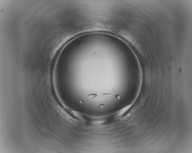 X0000070881460200606191303