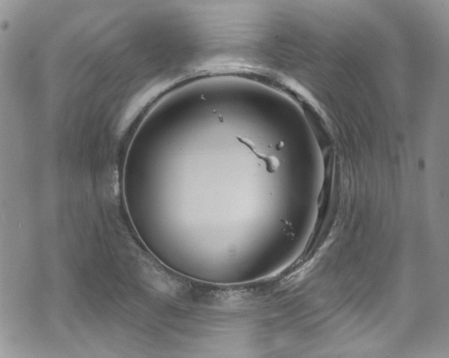 X0000070881461200606191303