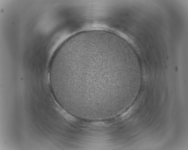 X0000070881462200606191303