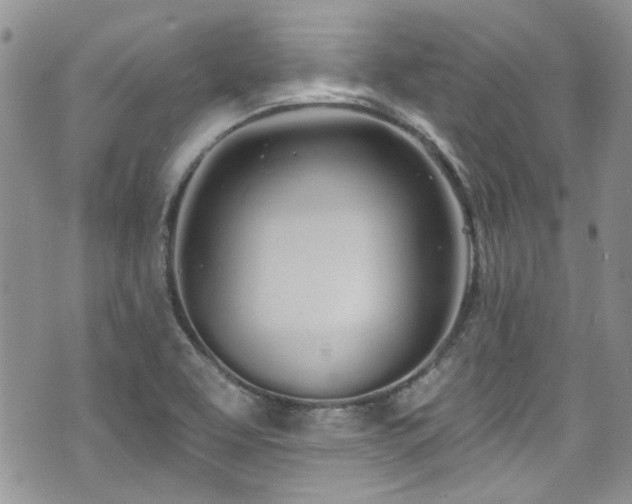 X0000070881463200606191303