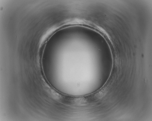 X0000070881464200606191303