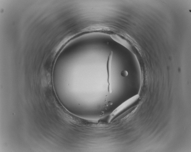 X0000070881465200606191303