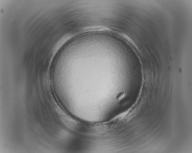 X0000070881466200606191303