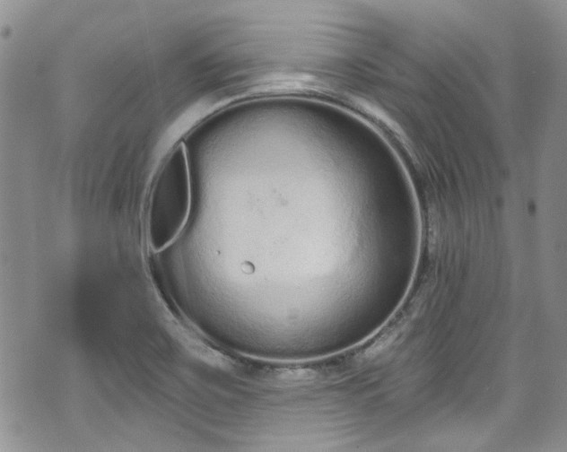 X0000070881467200606191303