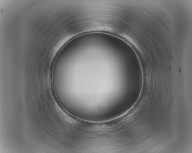 X0000070881468200606191303