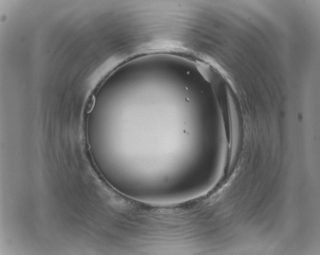 X0000070881469200606191303